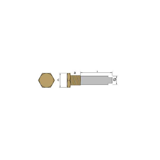 Yamaha pencil anode Ø12 L.52  complete with brass plug  th.3/8''NPT