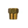 Ford brass plug th. 1/4'' bspt