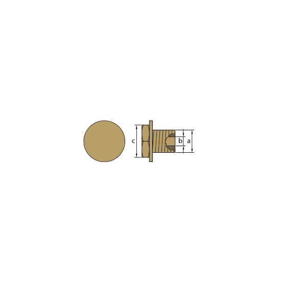 Textron-Weber Motor brass plug th.20x1,5  for pencil anode