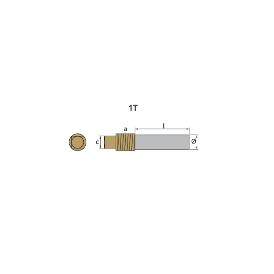 Caterpillar  pencil anode Ø 12 L.40 complete with brass plug th.3/8''bspt