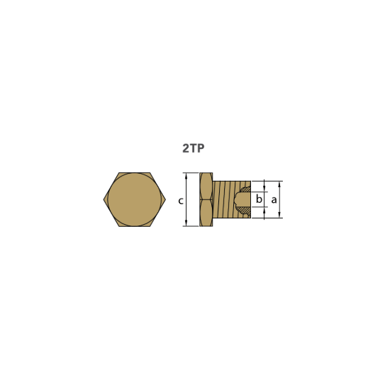 Ford brass plug th. 1/2'' bspt