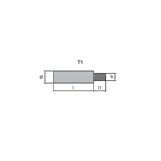 Isotta Fraschini pensil anode Ø14 L. 20mm M8